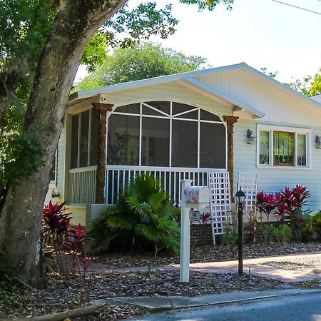 Luxurious Bohemian Bungalow In Lincolnville - Mins From Downtown! St. Augustine Exteriér fotografie